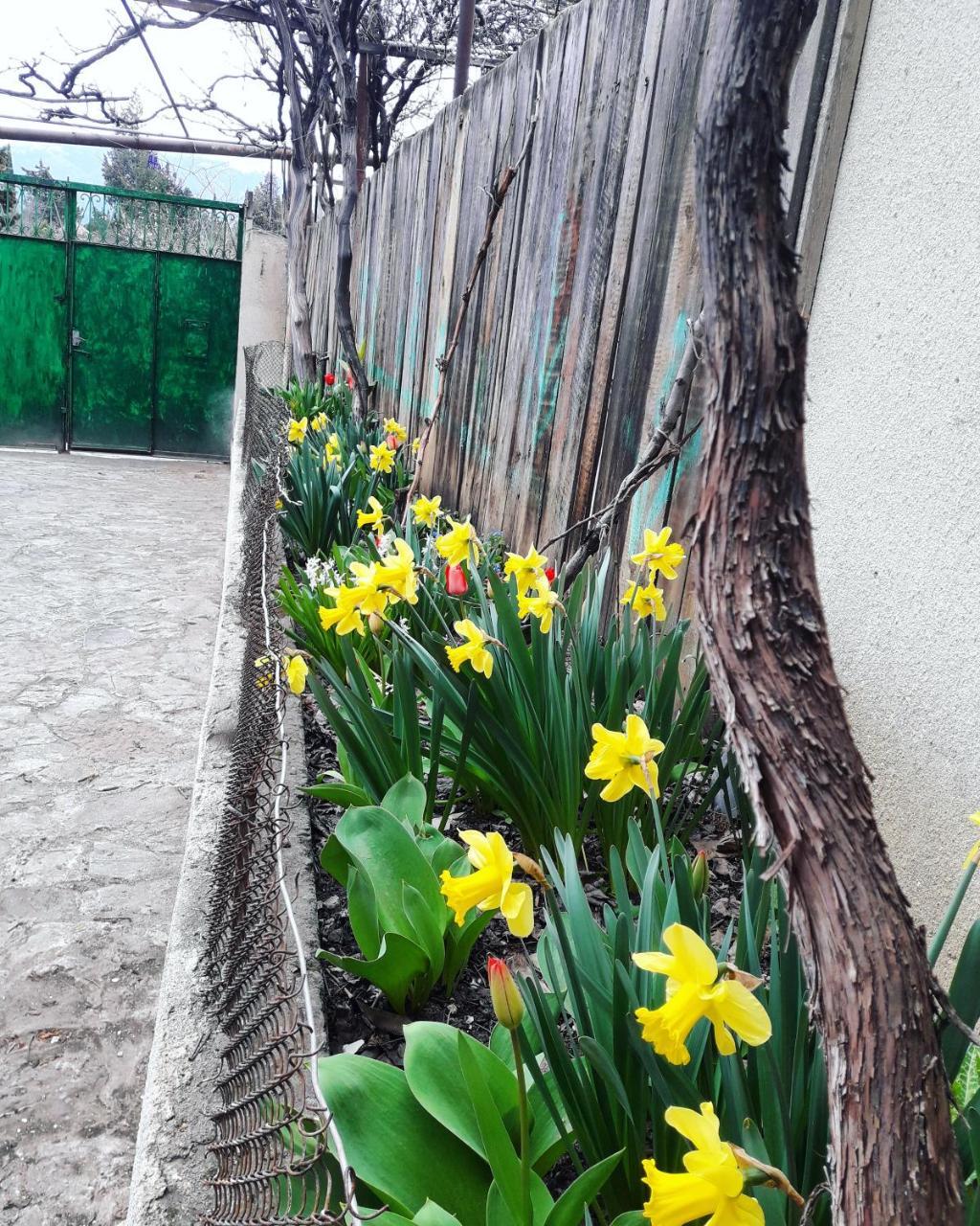 Guesthouse Ttt Tbiliszi Kültér fotó